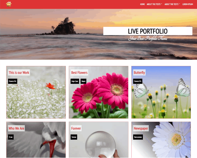 WordPress Portfolio