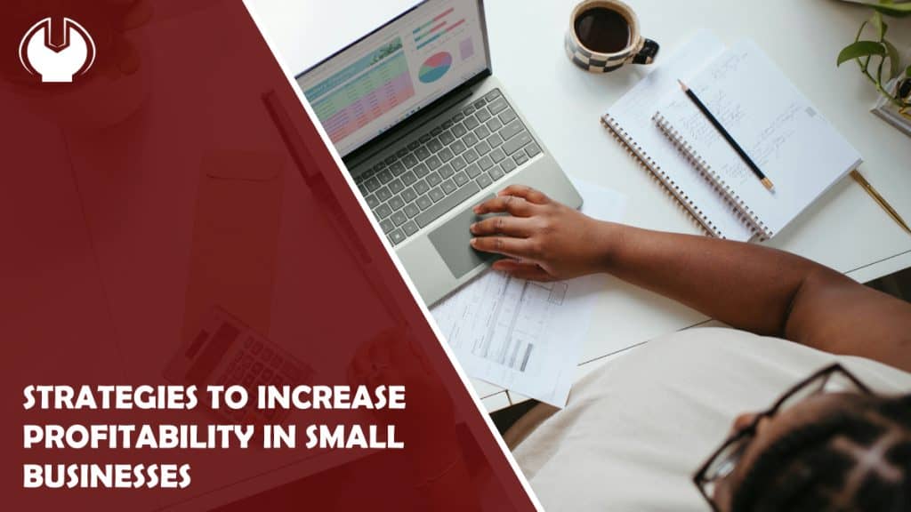 Strategies to Increase Profitability in Small Businesses